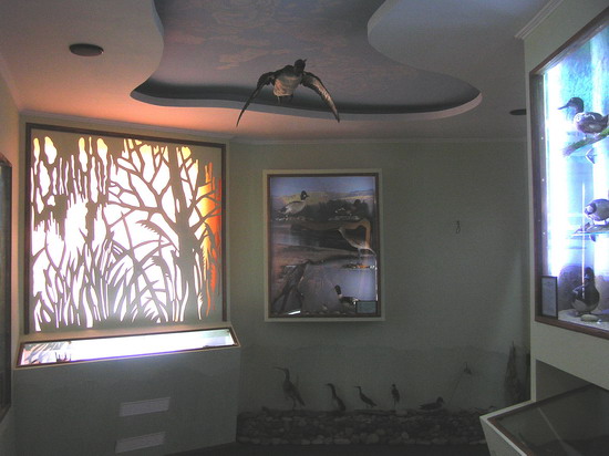 Зала водно-болотних екосистем Зала водно-болотних екосистем