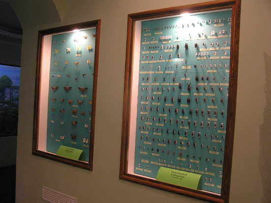 Ентомологічна експозиція Ентомологічна експозиція