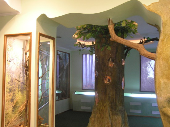 Зала лісових екосистем Зала лісових екосистем